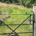 Wander through the rear garden gate: discover play area and tranquil woodland beyond